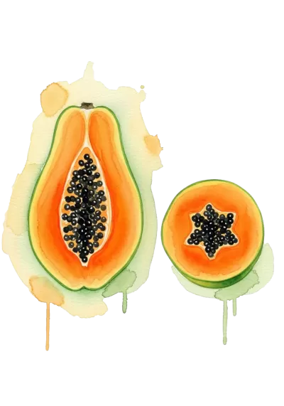 Imagen PNG para descargar